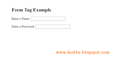 HTML Form Tag Example