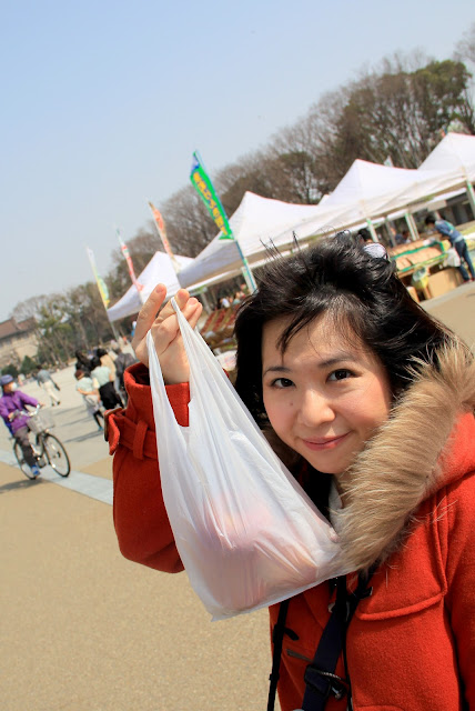 日本 東京 上野公園 櫻花