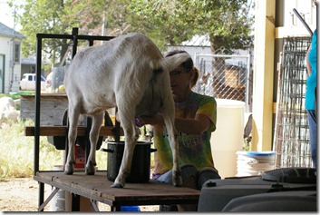KansasTrip_2012 051