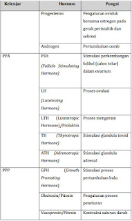 Sistem endokrin pada unggas merupakan sistem regulasi yang kerjanya dirangsang oleh sistem Jenis dan Fungsi Hormon pada Unggas