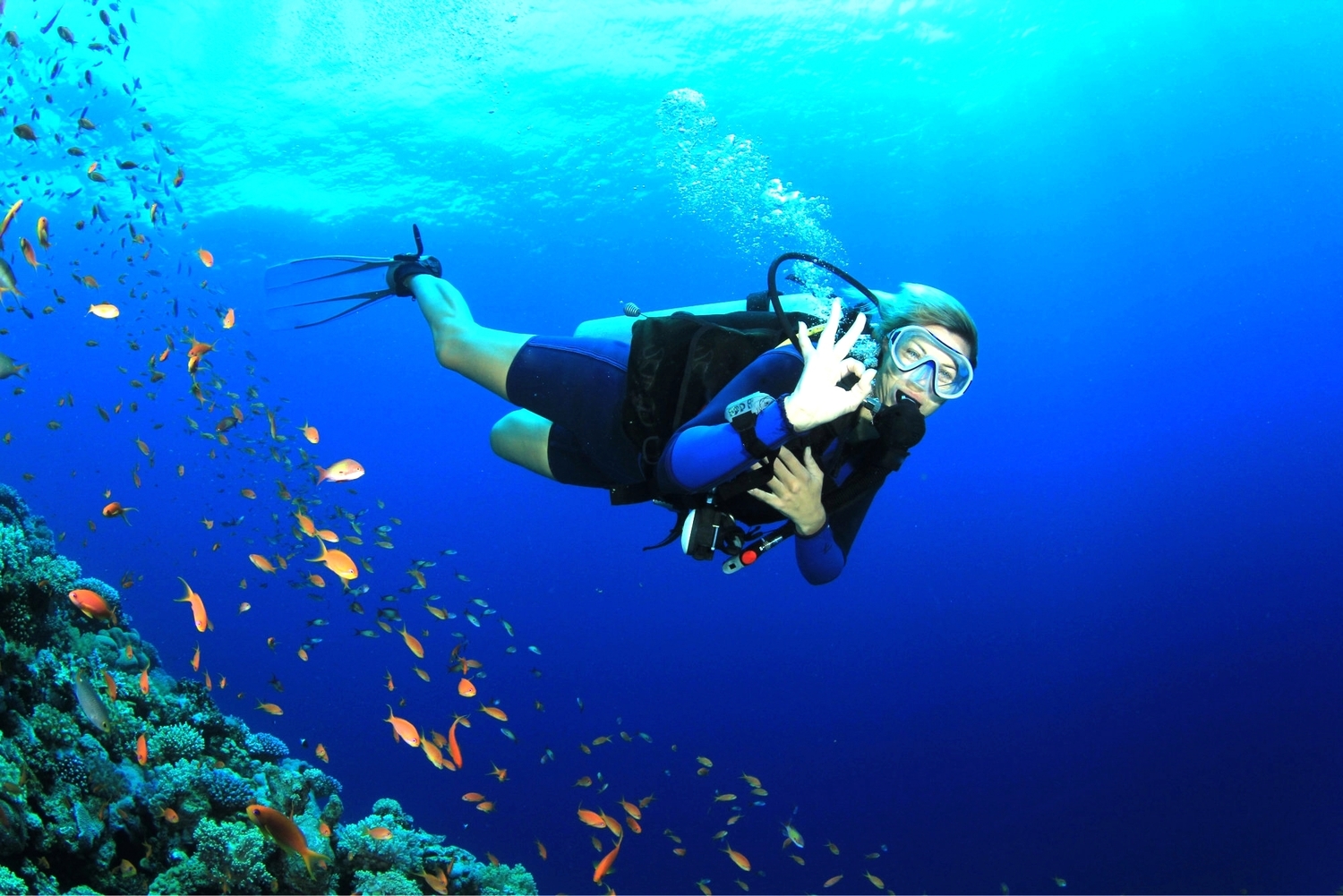 Lima Tempat Menyelam Terbaik di Dunia