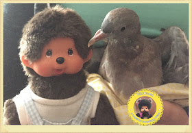 Bubbles le Monchhichi et Colombine le bébé pigeon - oisillon - pigeonneau - oiseau