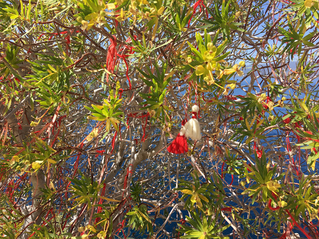 arbre pompon