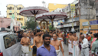 Ammavasai,Vaigasi, Purappadu,Video, Divya Prabhandam,Sri Parthasarathy Perumal, Triplicane,Thiruvallikeni,Utsavam,