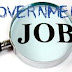 What are Government jobs 