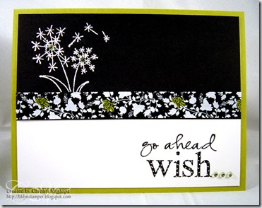 unity-wish1