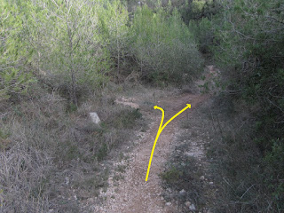 LA BISBAL DEL PENEDÈS - ROTLLAT - FONDO DEL TOTARREU - COLL DELS CARRERS - LA COSTA SEGUINT BARRAQUES DE PEDRA SECA, Camí al Torrent de Mas Bartomeu a La Bisbal del Penedès