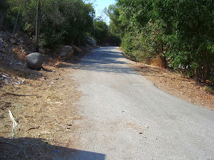 YNG, A view of a road in Kibbutz Heftzi-bah, 2013