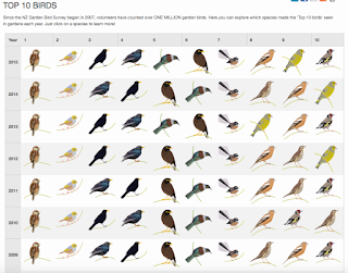 http://www.landcareresearch.co.nz/science/plants-animals-fungi/animals/birds/garden-bird-surveys/celebrating-ten-years/top-10-birds