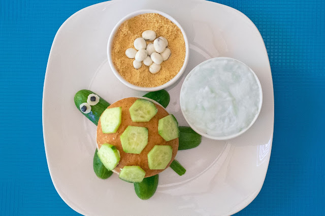 How to Make a Cucumber Sea Turtle Lunch