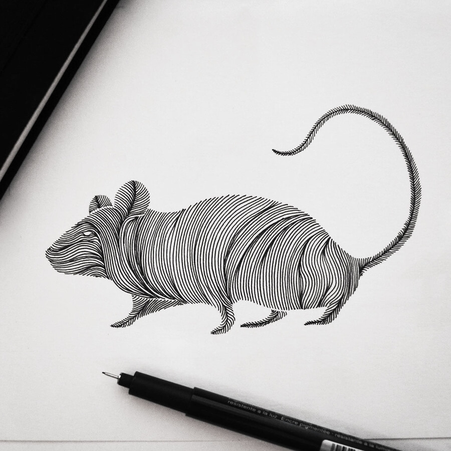 05-Rat-Animal-Drawings-Melpomeni Chatzipanagiotou-www-designstack-co