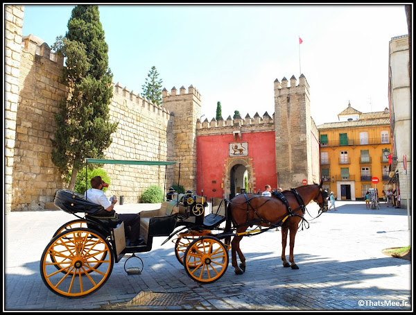Séville Real Alcazar entrée calèche touristes Palais