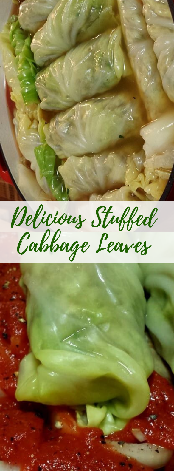 Delicious Stuffed Cabbage Leaves #veggies #healthyfood
