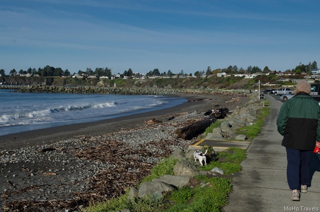 morning beach walk (2 of 16)