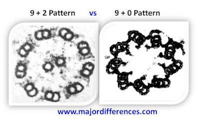 9+2 pattern vs 9+0 pattern