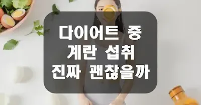 다이어트 중 계란 섭취 진짜 괜찮을까?