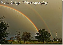 IMG_2841