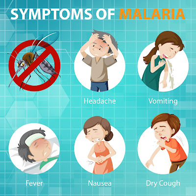Dengue classification guidelines | Dengue Fever