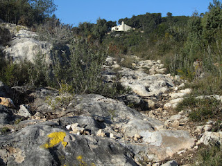 Camí Ral entre l'ermita de Santa Cristina i la Masia de Ca l'Arboset