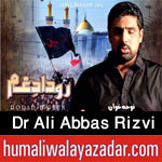 http://www.humaliwalayazadar.com/2016/07/dr-ali-abbas-rizvi-nohay-2012-to-2017.html