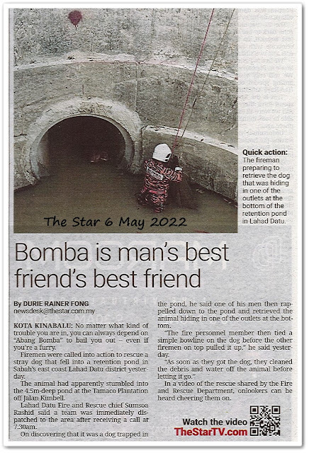 Bomba is man's best friend's best friend - Keratan akhbar The Star 6 May 2022