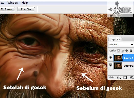sebelum dan sesudah gambar di gosok menggunakan smudge tool - tutorial cara membuat efek smudge painting di photoshop