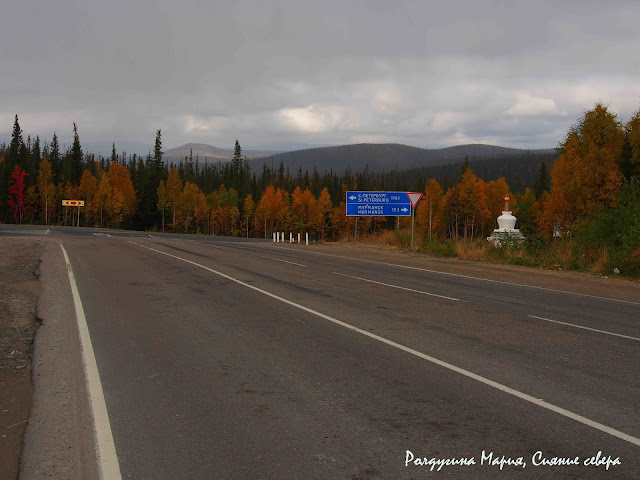 Дорога домой фото