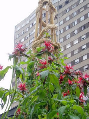 Bilbao jardín