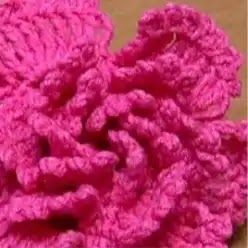 Flor pétalos grandes a Crochet