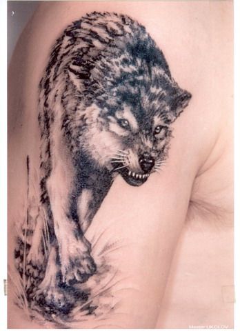 Wolf tattoo design.