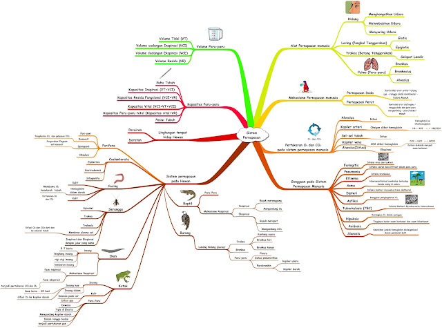 Gimelin: Sistem Pernapasan