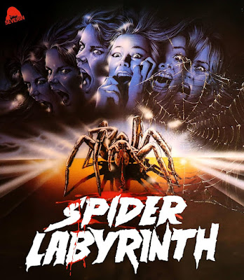 The Spider Labyrinth Il Nido Del Ragno Bluray