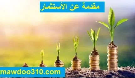 مقدمة عن الاستثمار