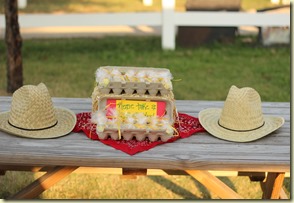 IMG_9553