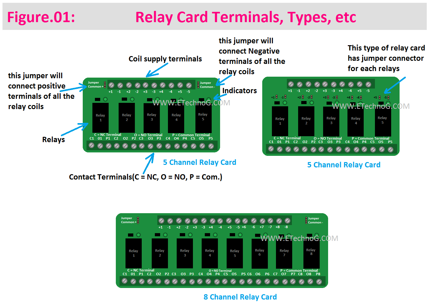 Relay Card Terminals Identification and Types