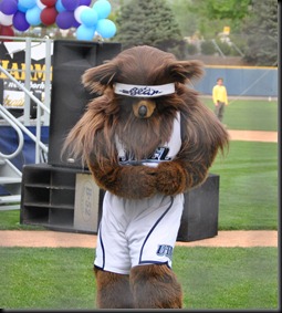 Jazz Bear croped