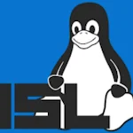 Windows Subsystem for Linux (WSL)