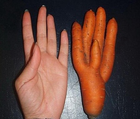 handcarrot