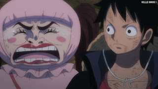 ワンピースアニメ 1047話 しのぶ ルフィ Monkey D. Luffy | ONE PIECE Episode 1047