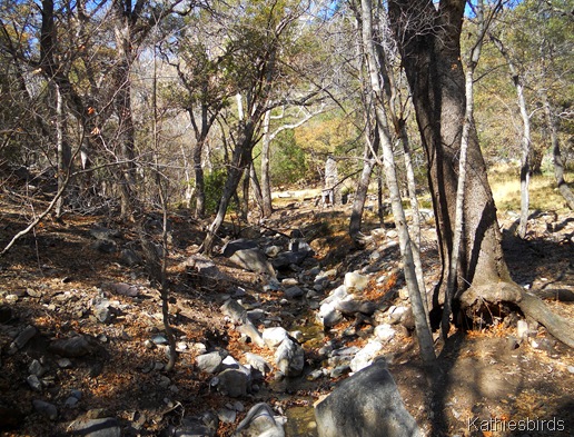 6. creek-kab