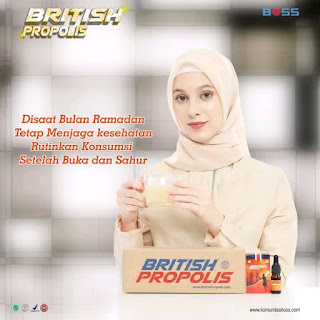 Agen British Propolis Jogja