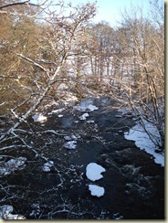 DSC06003