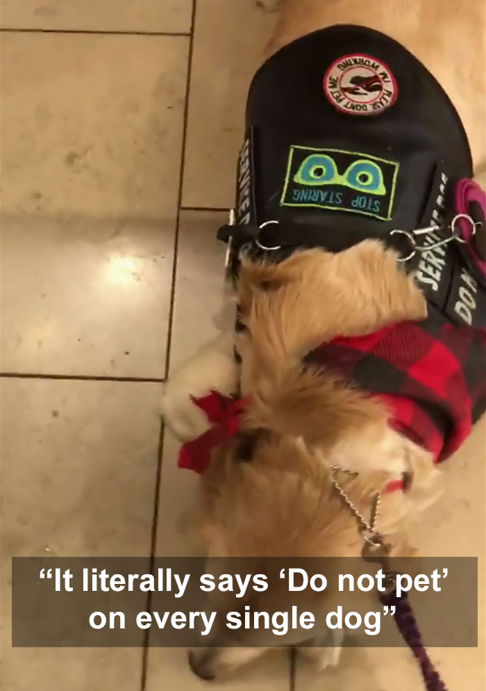 Mother Could Not Take 'No' For An Answer When She Asked Whether Her Daughter Could Pet Service Dogs