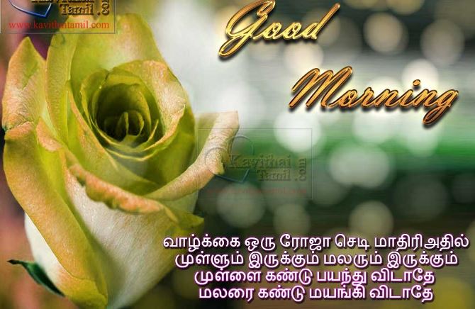 Good Morning wishes in tamil