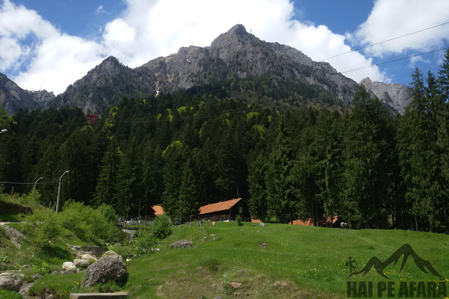 vedere munți Bușteni