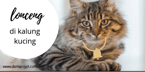 Tentang Lonceng di Kalung Kucing - damarojat blog lifestyle 