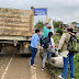 MEDIO AMBIENTE / TONELADA Y MEDIA DE RESIDUOS SÓLIDOS SE RECOGIÓ EN ZONA RURAL DE VIJES