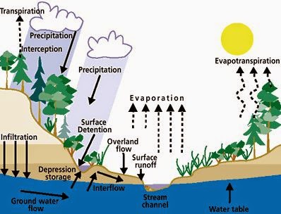  Pengertian  Siklus Hidrologi Fakta Inspiratif 