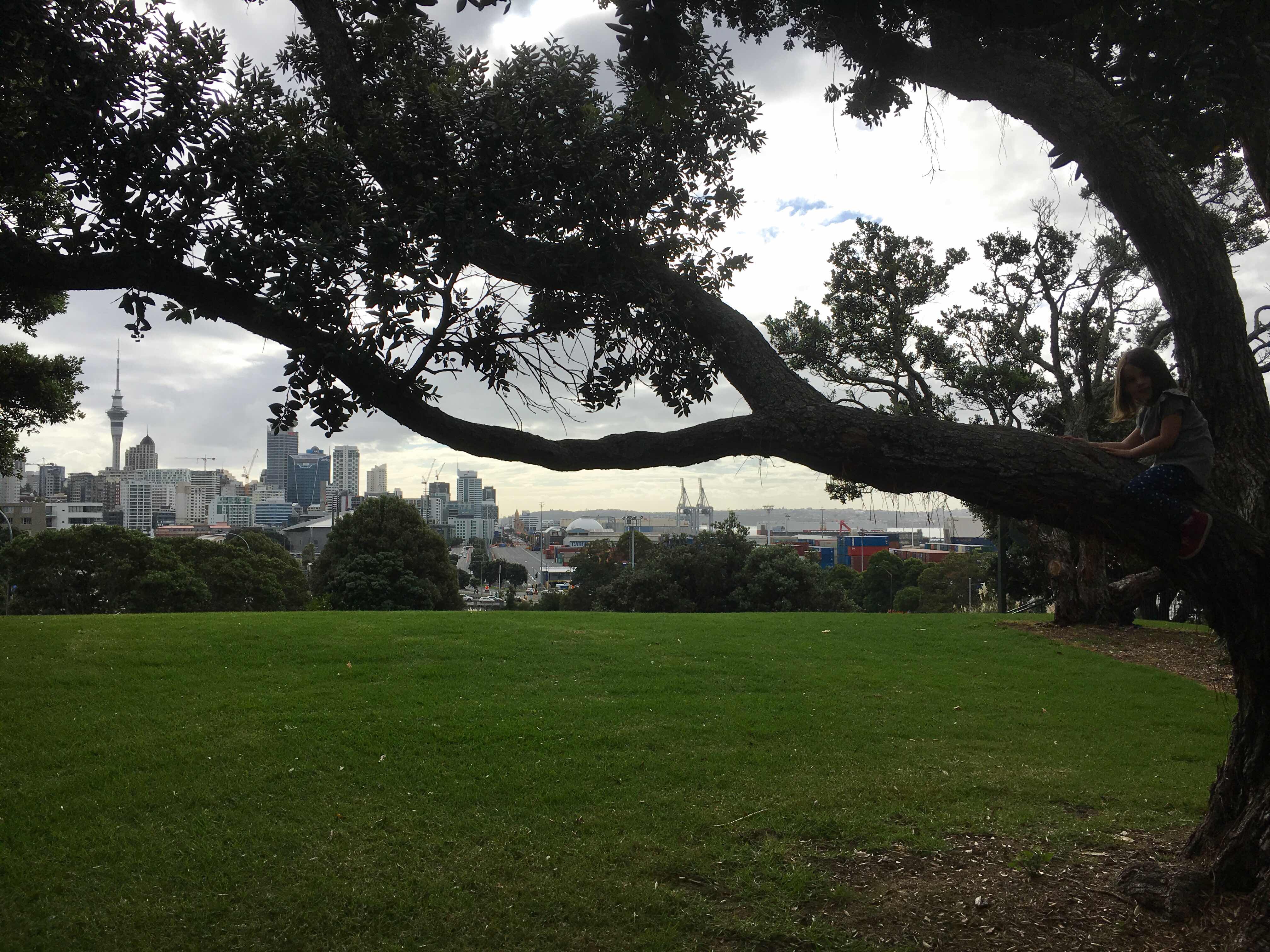 Auckland view from Dove Myer Robinson Park