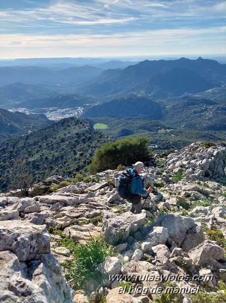 Caillo - Cintillo desde Benaocaz